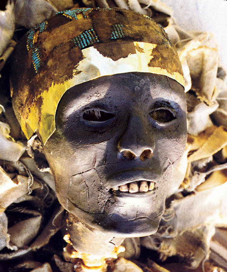 Was Tutankhamun Murdered?